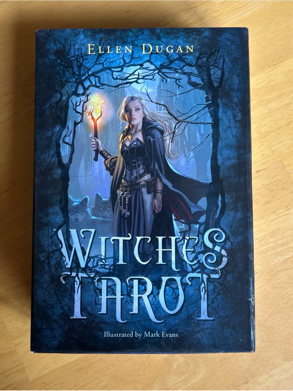 Witches Tarot by Ellen Dugan